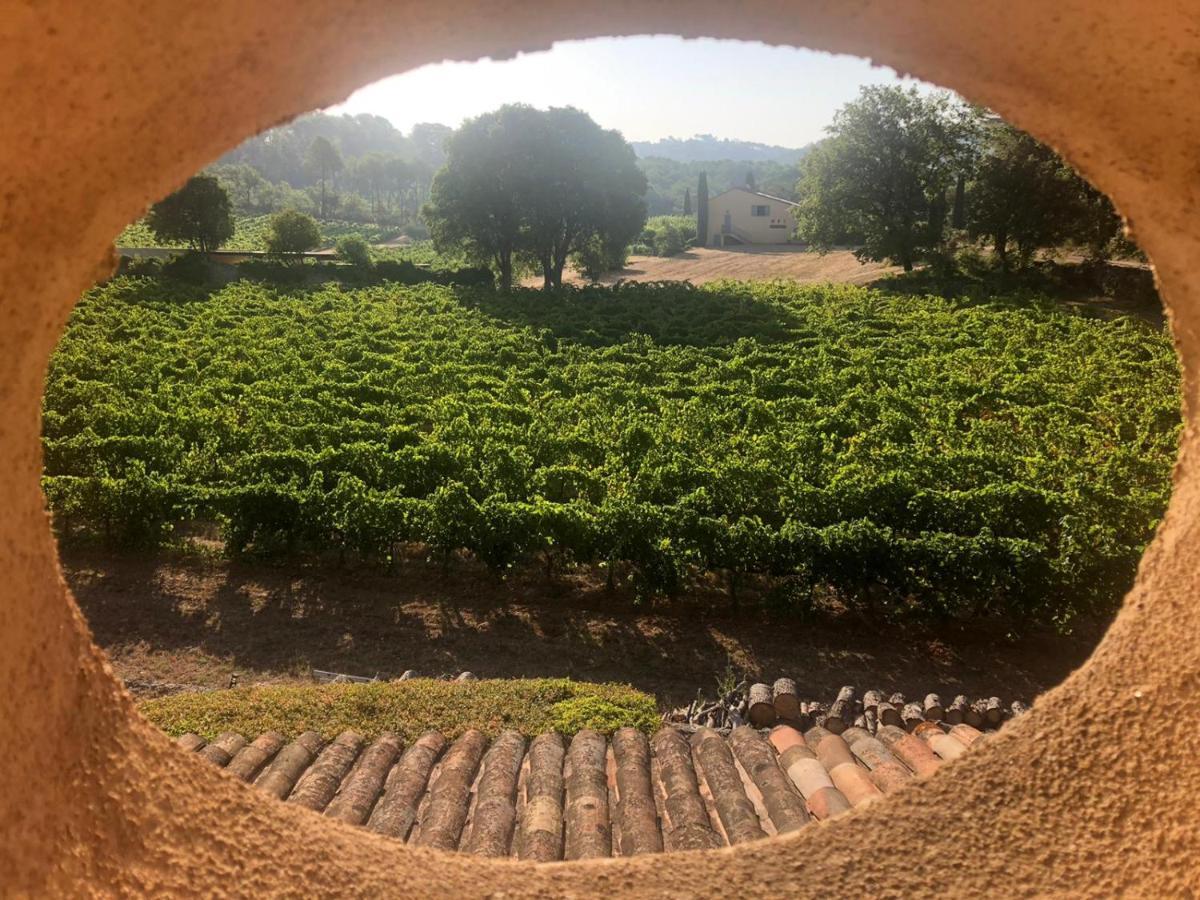Domaine du Clos d'Alari Saint-Antonin-du-Var Exterior foto