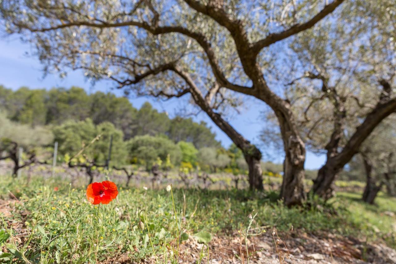 Domaine du Clos d'Alari Saint-Antonin-du-Var Exterior foto