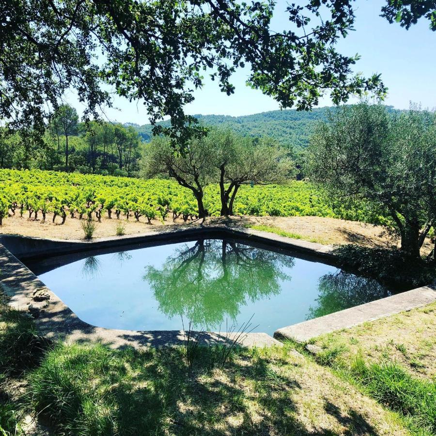 Domaine du Clos d'Alari Saint-Antonin-du-Var Exterior foto