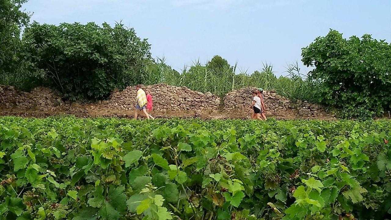 Domaine du Clos d'Alari Saint-Antonin-du-Var Exterior foto