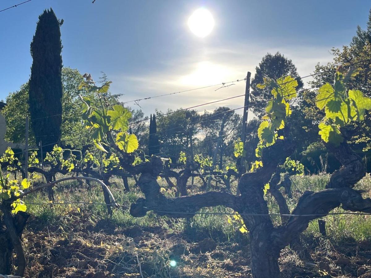 Domaine du Clos d'Alari Saint-Antonin-du-Var Exterior foto