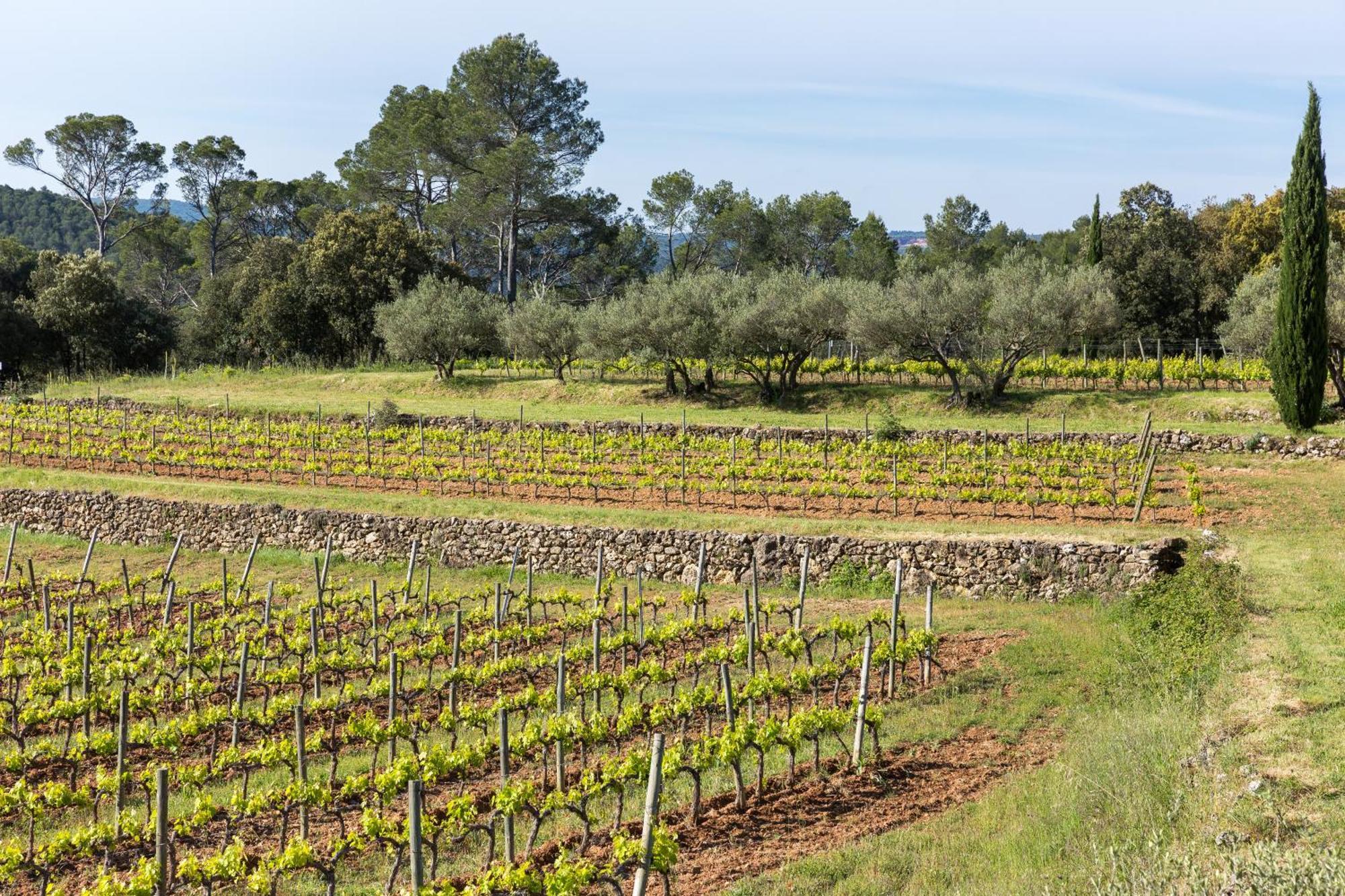Domaine du Clos d'Alari Saint-Antonin-du-Var Exterior foto