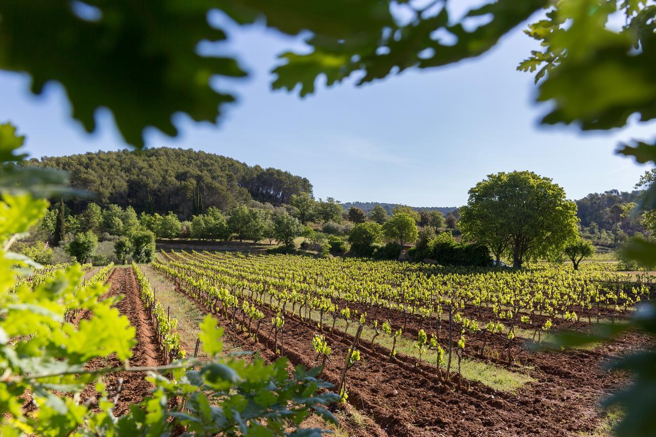 Domaine du Clos d'Alari Saint-Antonin-du-Var Exterior foto